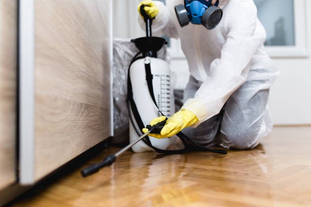 Best Pest Inspection Near Me  in Washington, WV