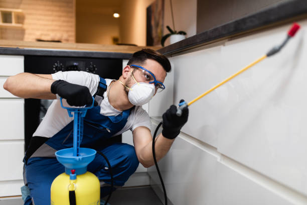 Best Emergency Pest Control  in Washington, WV