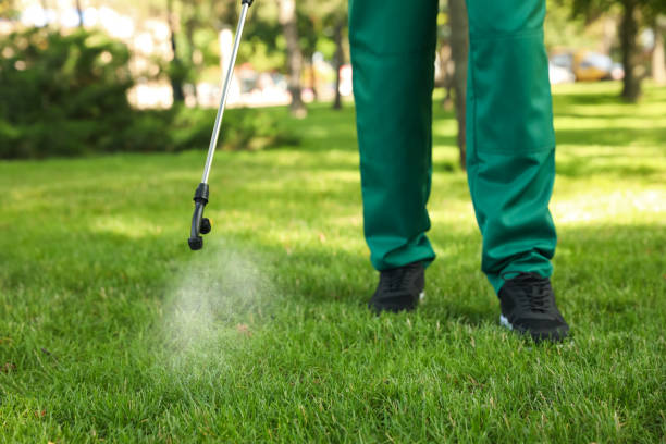 Flea Control Services in Washington, WV