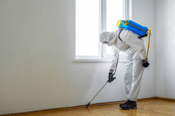 Best Insect Control  in Washington, WV