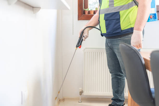 Best Termite Control Services  in Washington, WV
