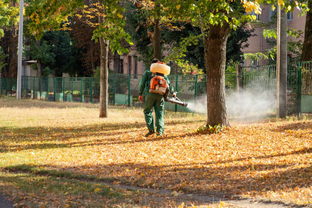 Best Exterminator Services  in Washington, WV