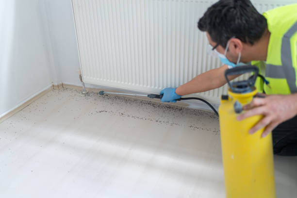 Reliable Washington, WV Pest Control Solutions
