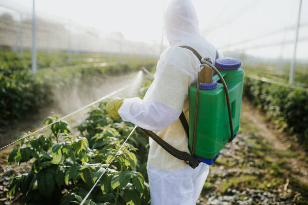 Best Affordable Pest Control Services  in Washington, WV
